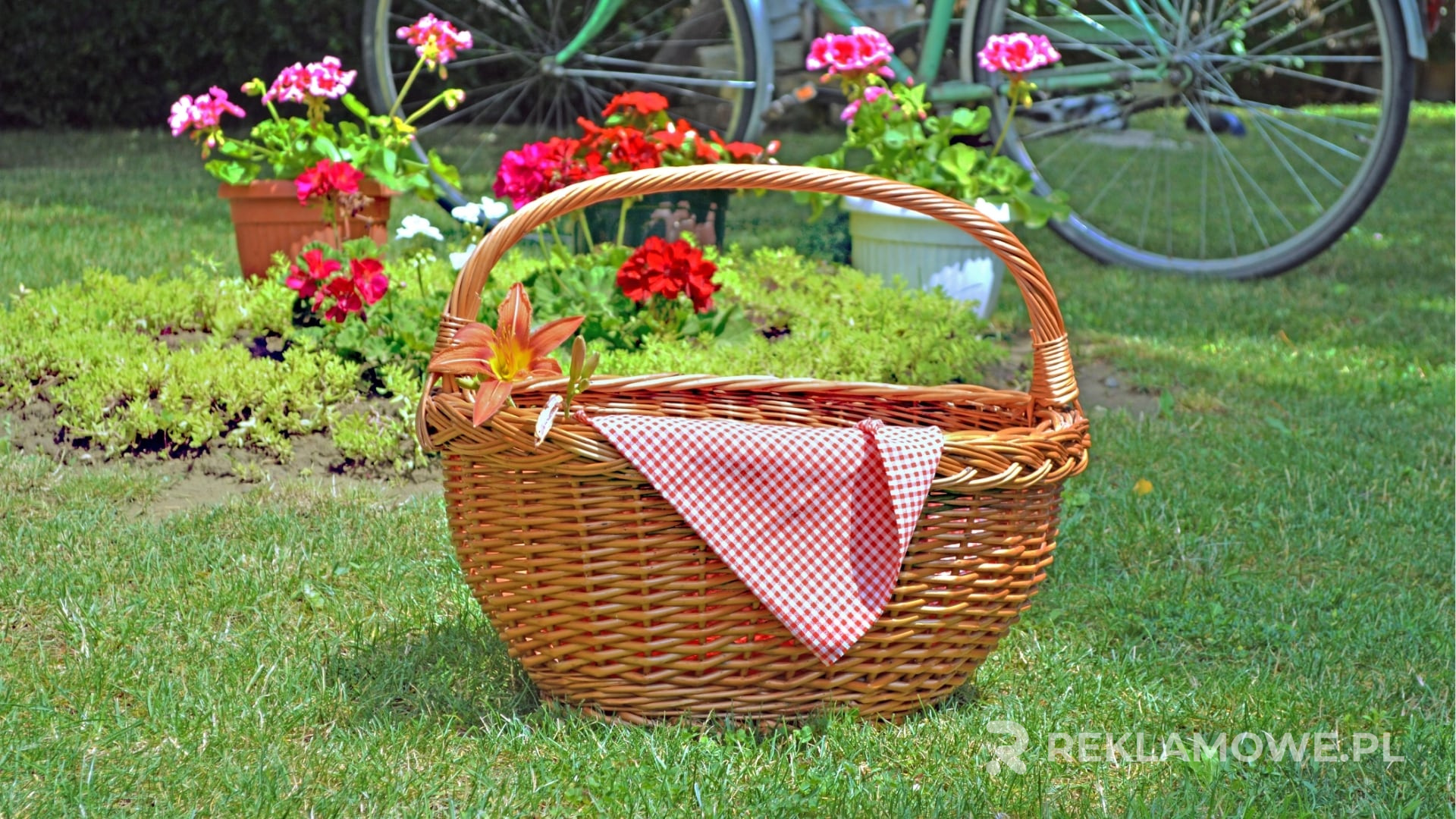 Kosze reklamowe w przestrzeni miejskiej